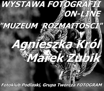 WYSTAWA FOTOGRAFII ON-LINE "muzeum rozmaitości"